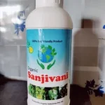 Sanjivani