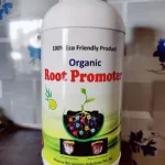 Root Promote